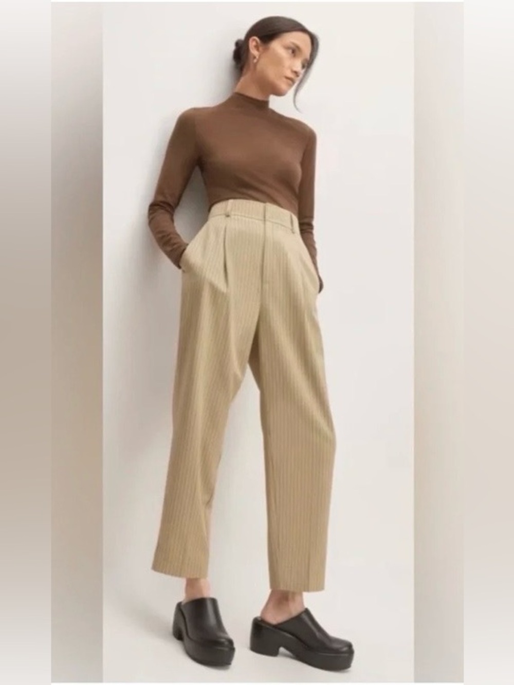 Everlane Tan Pinstripe High-Waist Pleated Trousers